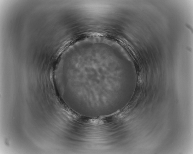X0000094230520200710261258