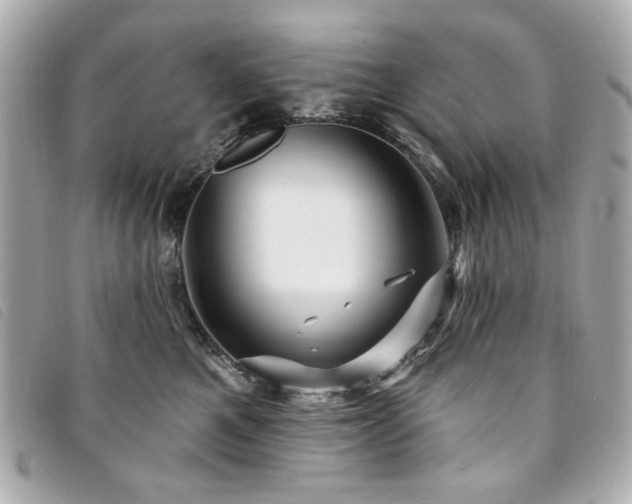 X0000094230521200710261258