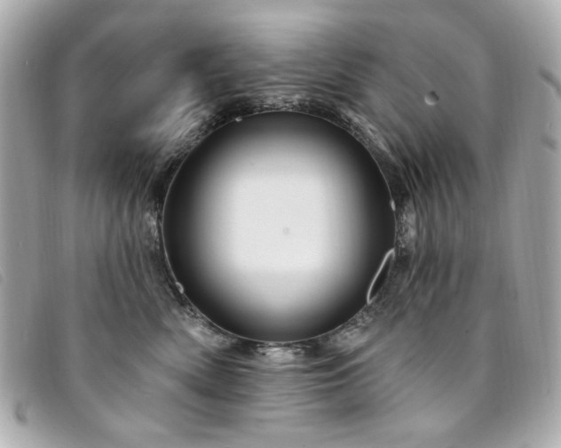 X0000094230522200710261258