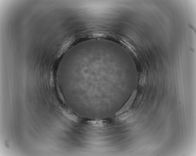 X0000094230524200710261258