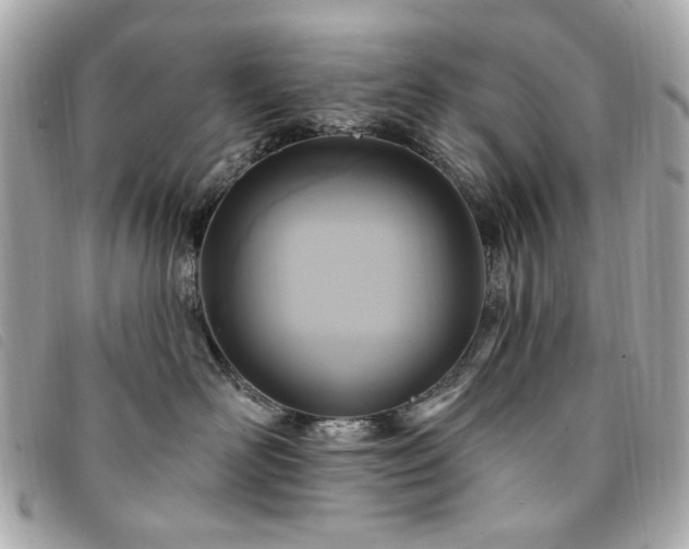 X0000094230526200710261258