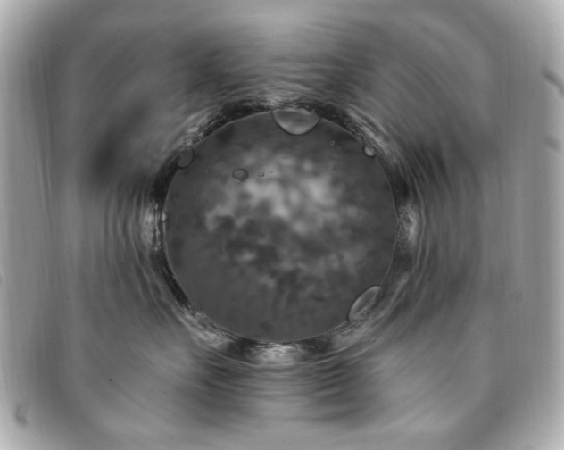 X0000094230527200710261258