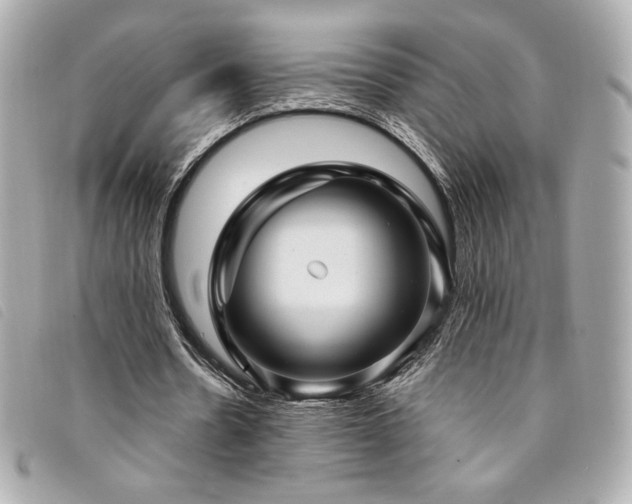 X0000094230530200710261258