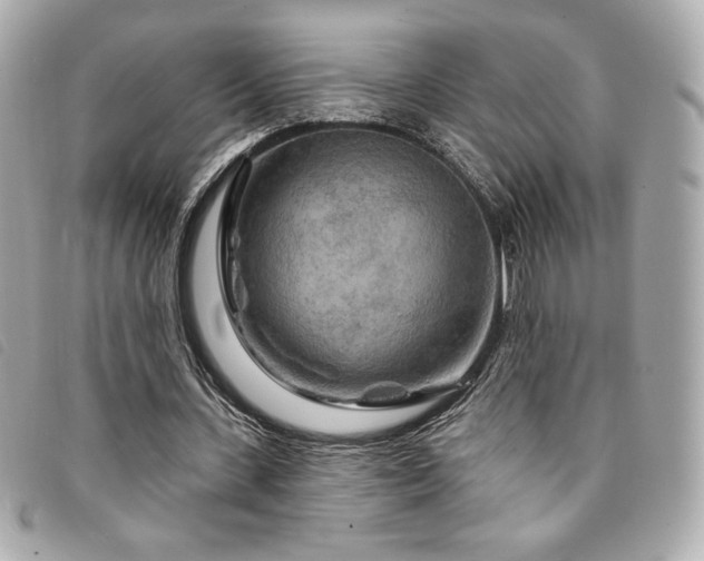 X0000094230531200710261258