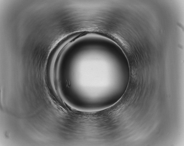 X0000094230532200710261258