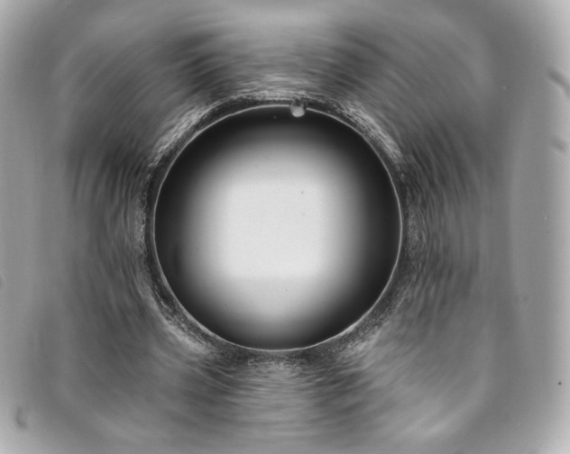X0000094230533200710261258
