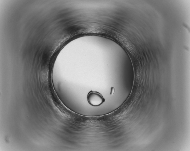 X0000094230534200710261258
