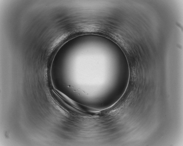 X0000094230535200710261258