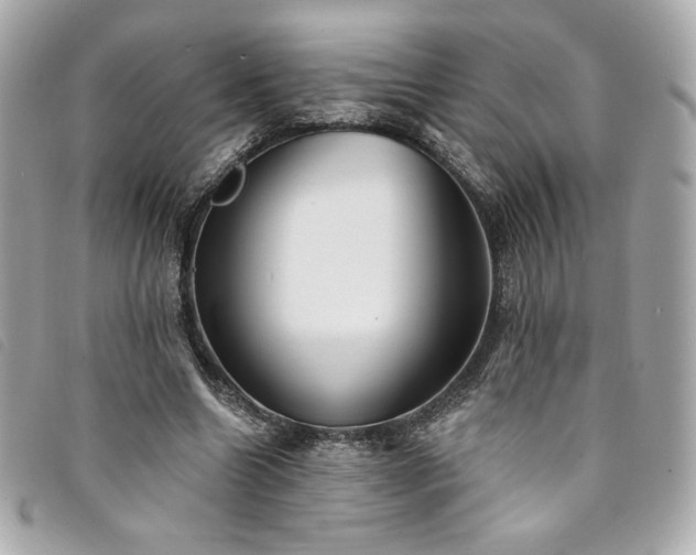 X0000094230538200710261258