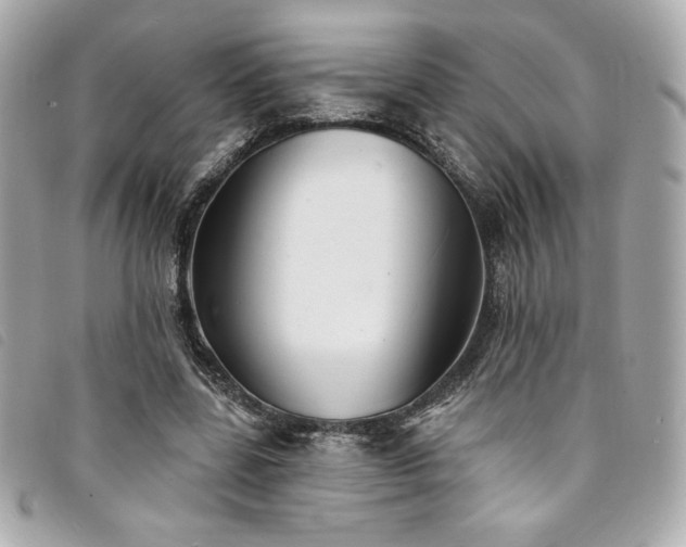 X0000094230539200710261258