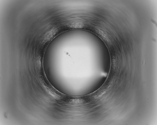 X0000094230541200710261258
