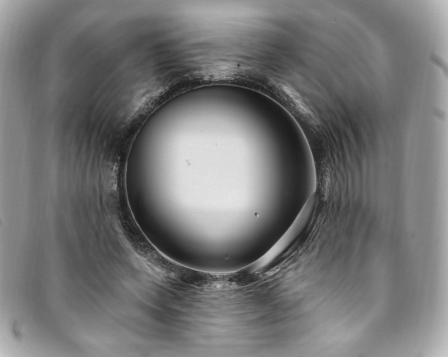 X0000094230543200710261258