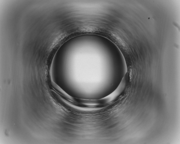 X0000094230544200710261258