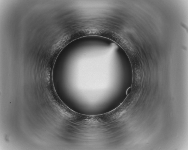 X0000094230545200710261258