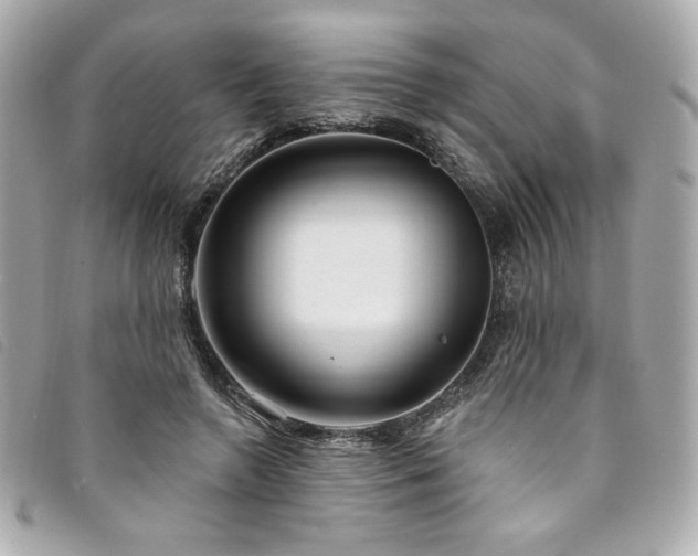 X0000094230546200710261258