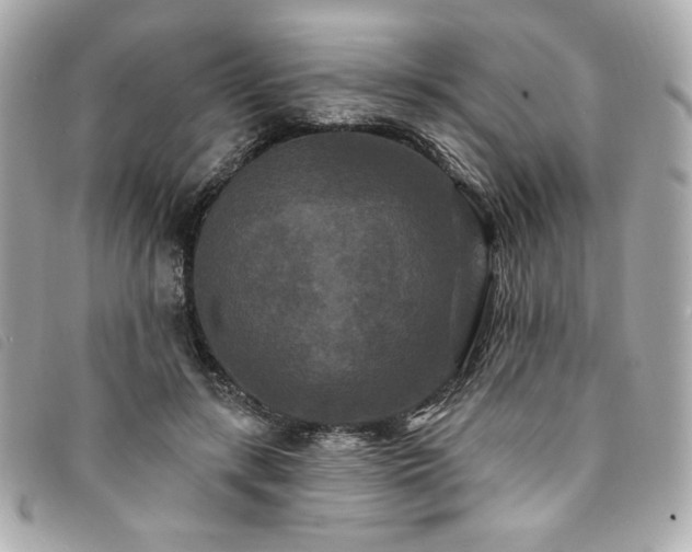 X0000094230547200710261258