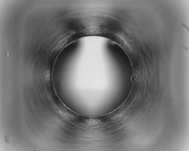 X0000094230549200710261258
