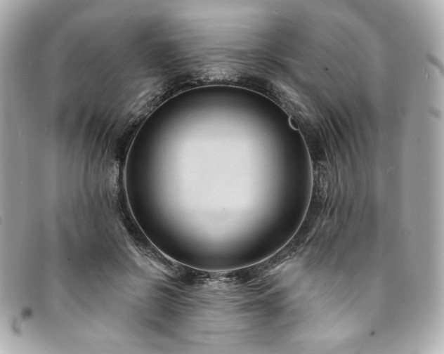 X0000094230550200710261258