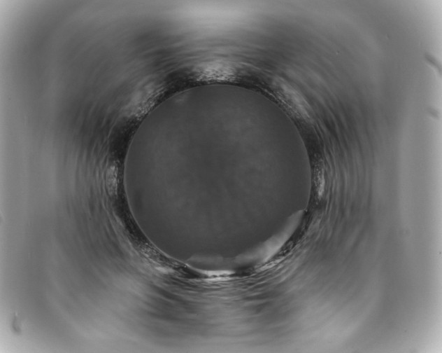 X0000094230551200710261258