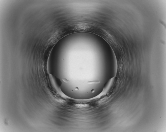 X0000094230552200710261258
