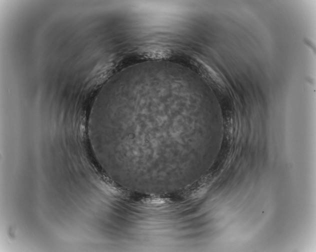 X0000094230553200710261258