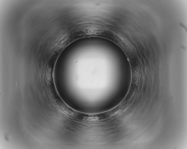 X0000094230554200710261258
