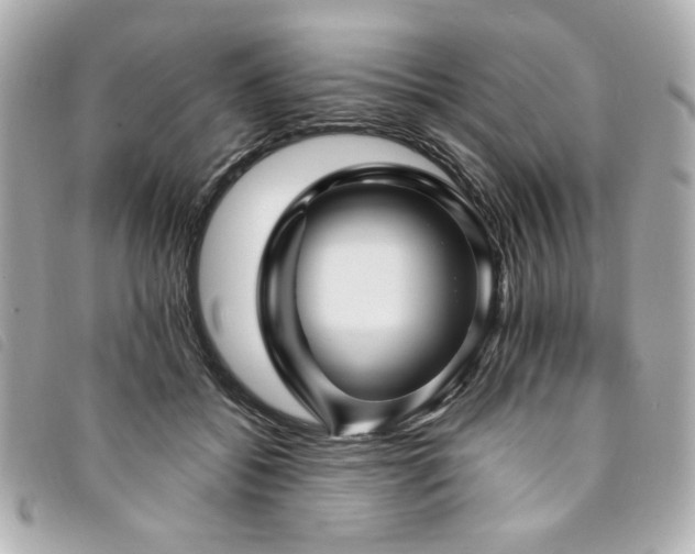 X0000094230556200710261258