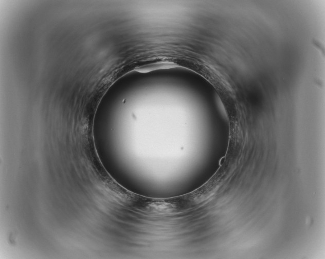 X0000094230557200710261258