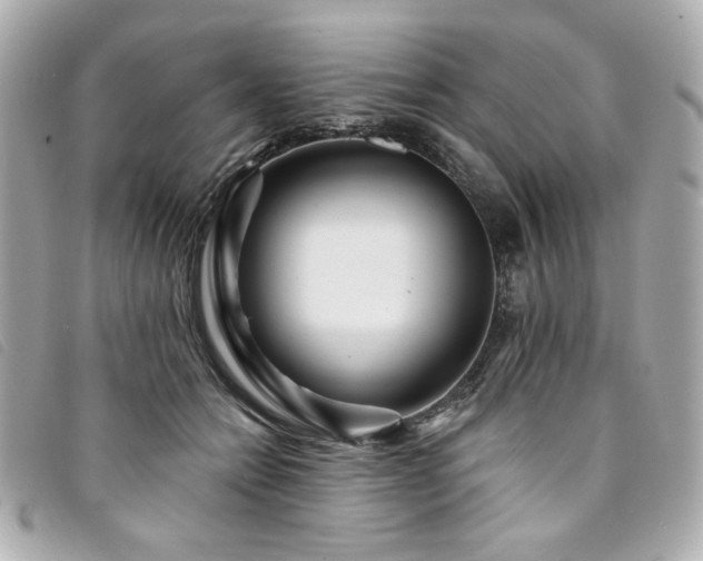 X0000094230558200710261258