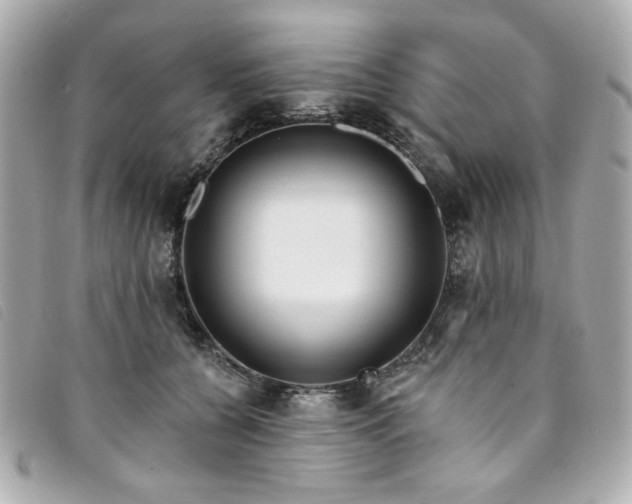 X0000094230560200710261258