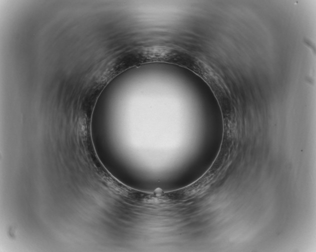 X0000094230561200710261258