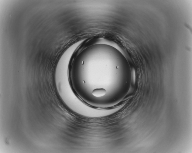 X0000094230562200710261258
