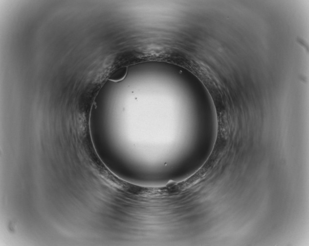 X0000094230563200710261258