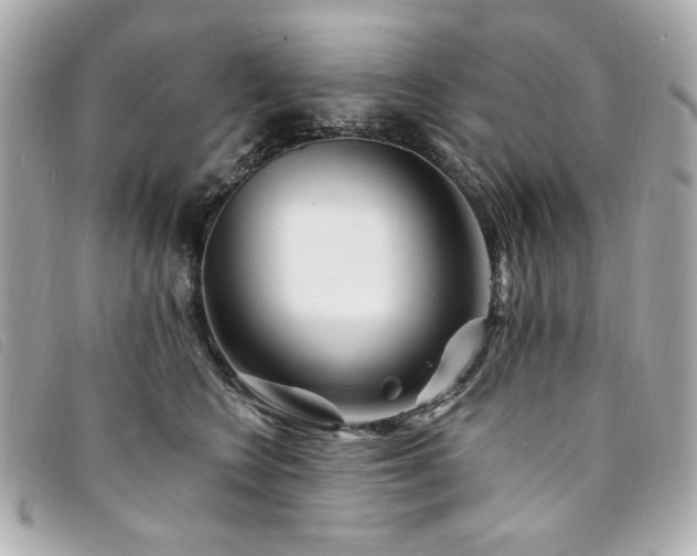 X0000094230566200710261258
