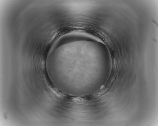 X0000094230568200710261258