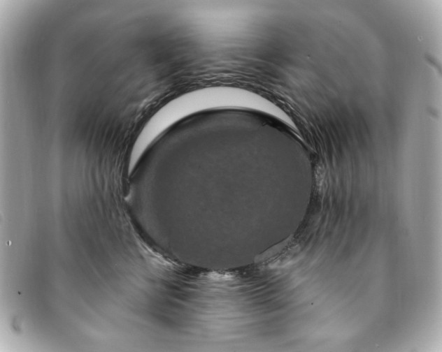X0000094230570200710261258
