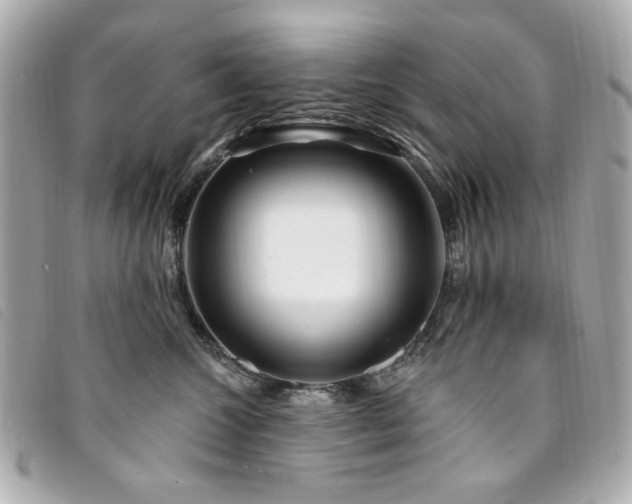 X0000094230572200710261258