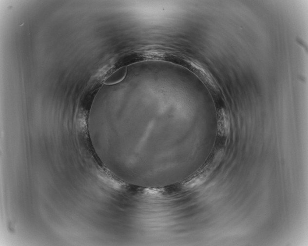 X0000094230573200710261258