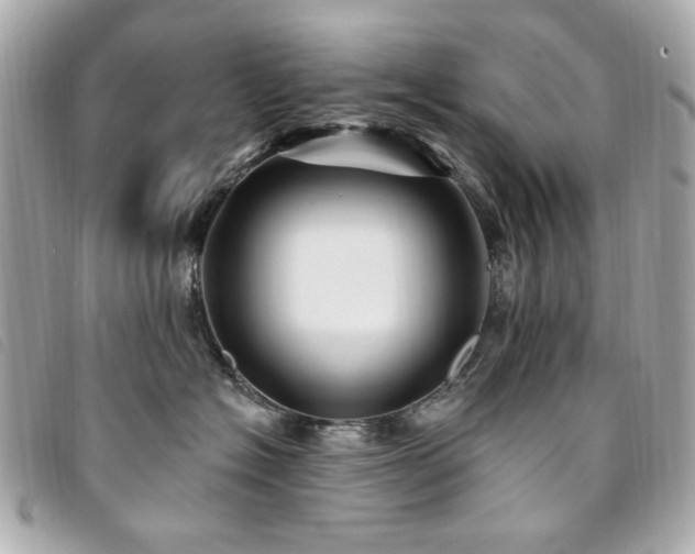 X0000094230574200710261258
