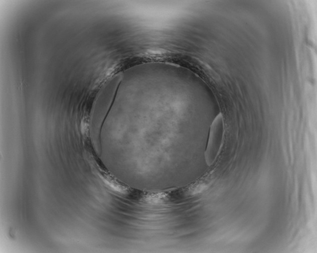 X0000094230576200710261258