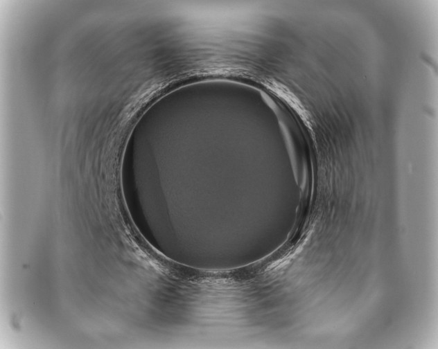 X0000094230577200710261258