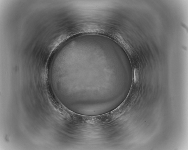 X0000094230579200710261258