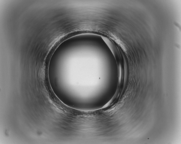 X0000094230580200710261258