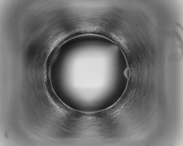 X0000094230582200710261258