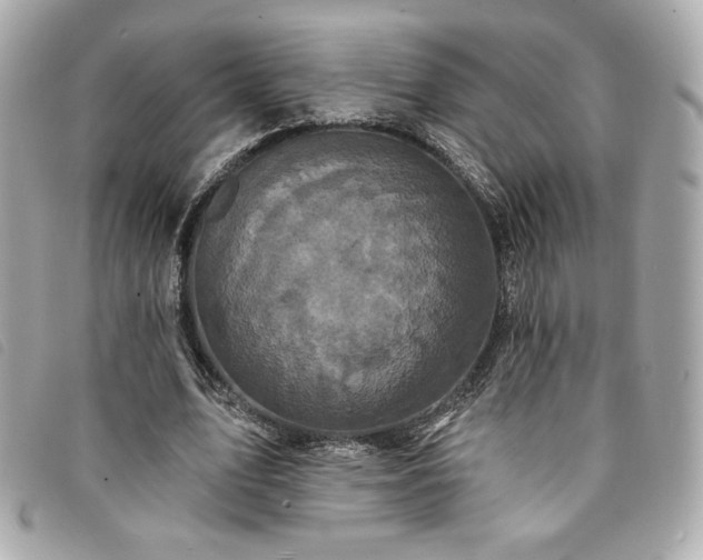 X0000094230583200710261258