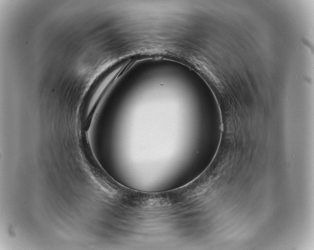 X0000094230584200710261258