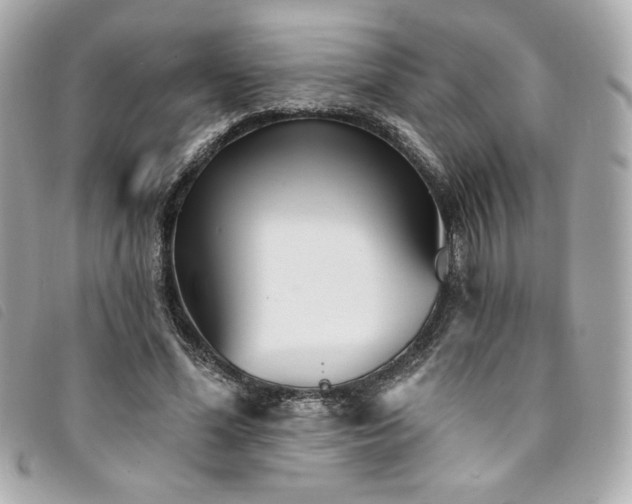 X0000094230588200710261258
