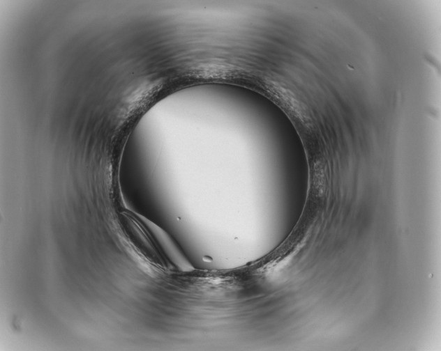 X0000094230589200710261258