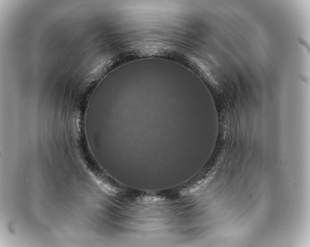 X0000094230590200710261258