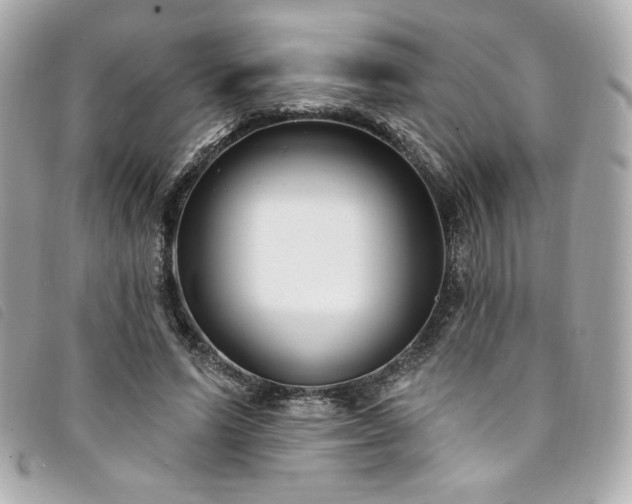 X0000094230591200710261258